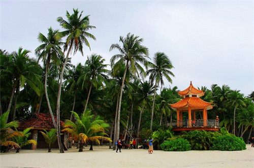 锦鲤抄芝士牛肉卷