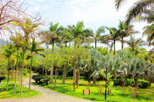 鱼禾岸日式料理