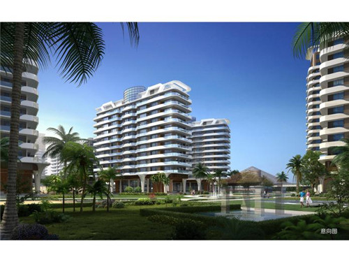 味管家玛咖鸡黄饭