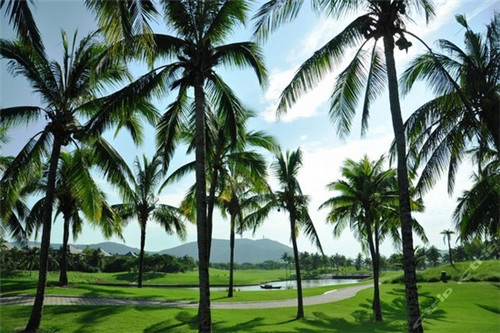 小区酸奶加盟费多少