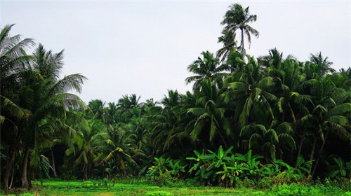 元氏县的胡一刀传统刀面加盟商多吗