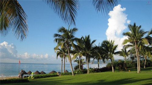 加盟思蜜客冻酸奶可以赚钱吗