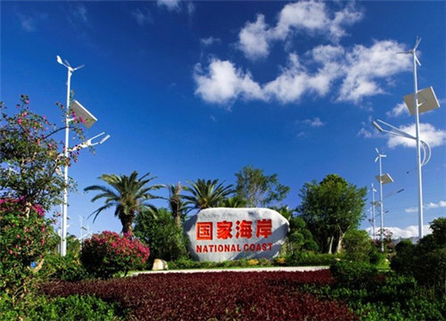 老八吃的十大美食是什么（老八吃美食合集）