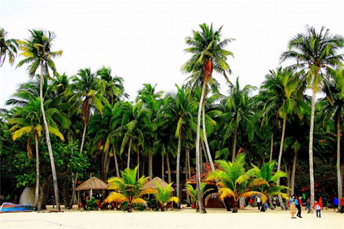 金矿选矿设备十大品牌价格（金矿石选矿设备及流程）