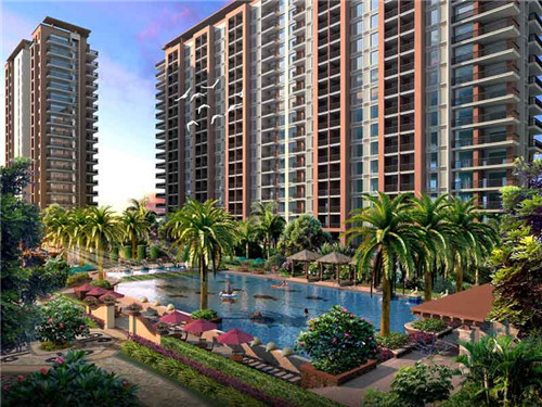 牛腱子生鲜月盛斋（牛腱子肉的价格怎样）