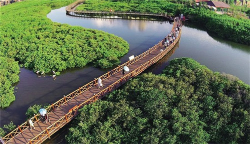 快手怎么把视频放快（快手怎么把视频速度加快）