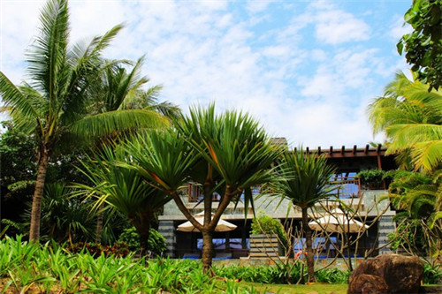 装修柜子暗色好看吗（暗色柜体配什么颜色柜门）