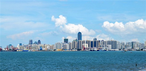 花盆小游戏怎么做（小花盆创意）