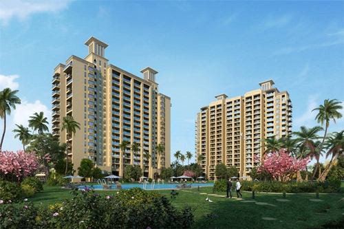 炒猪肝家芹菜怎么炒好吃（芹菜炒猪肝视频）